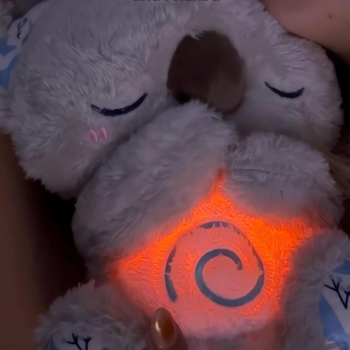 Peluche de koala Anti Esterés